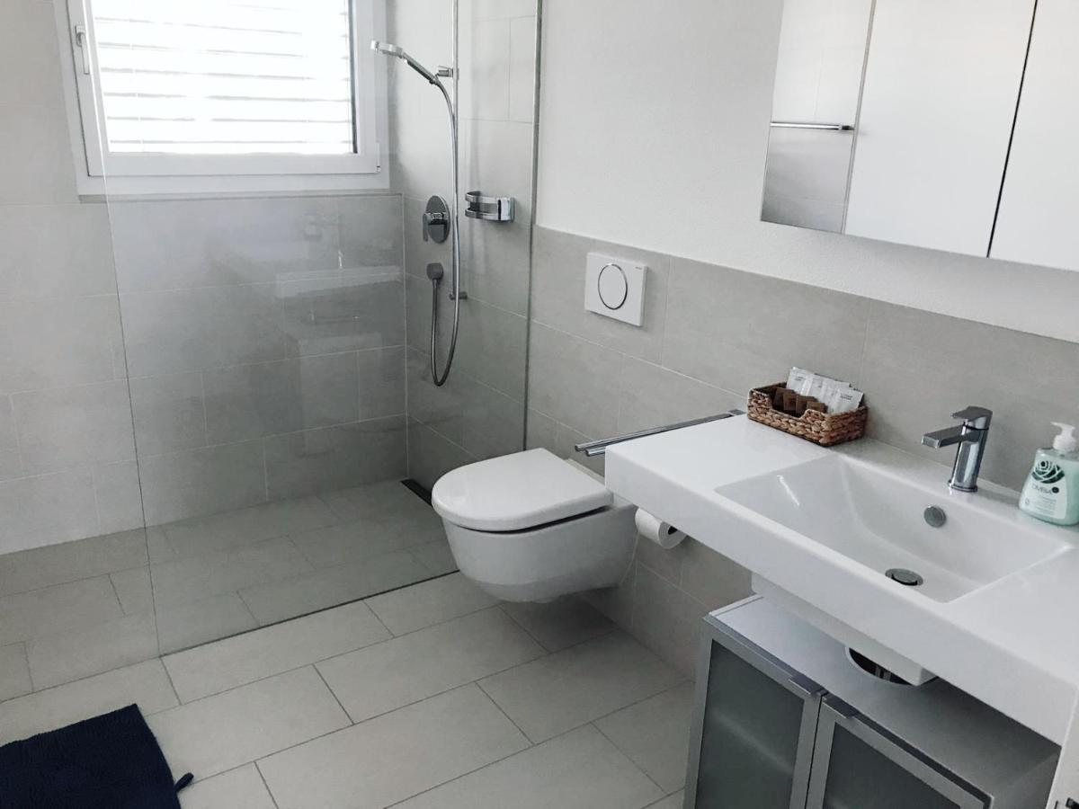 Easy-Living Apartments Dietwil Zewnętrze zdjęcie