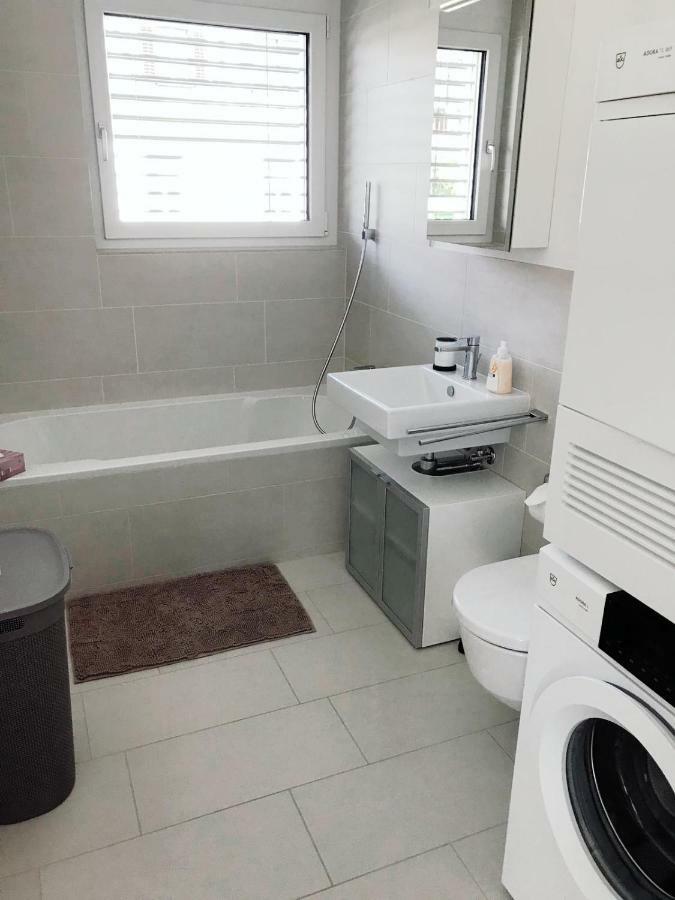 Easy-Living Apartments Dietwil Zewnętrze zdjęcie